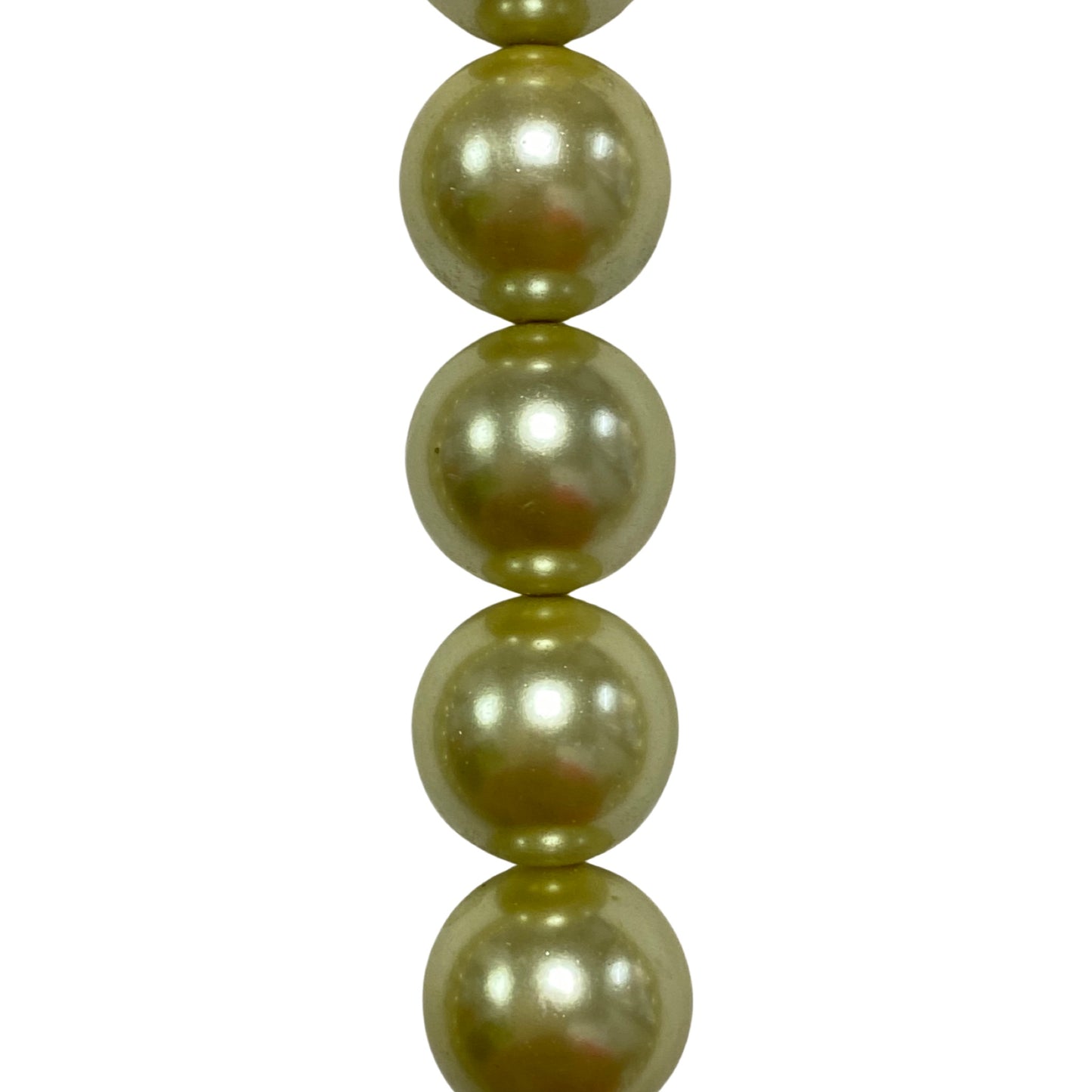 Olive Mother of Pearl - (Polished) - Round/ Smooth