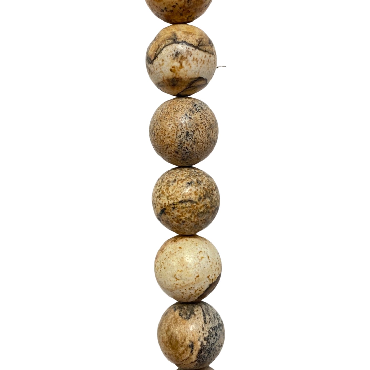 Picture Jasper - (Polished) - Round/ Smooth