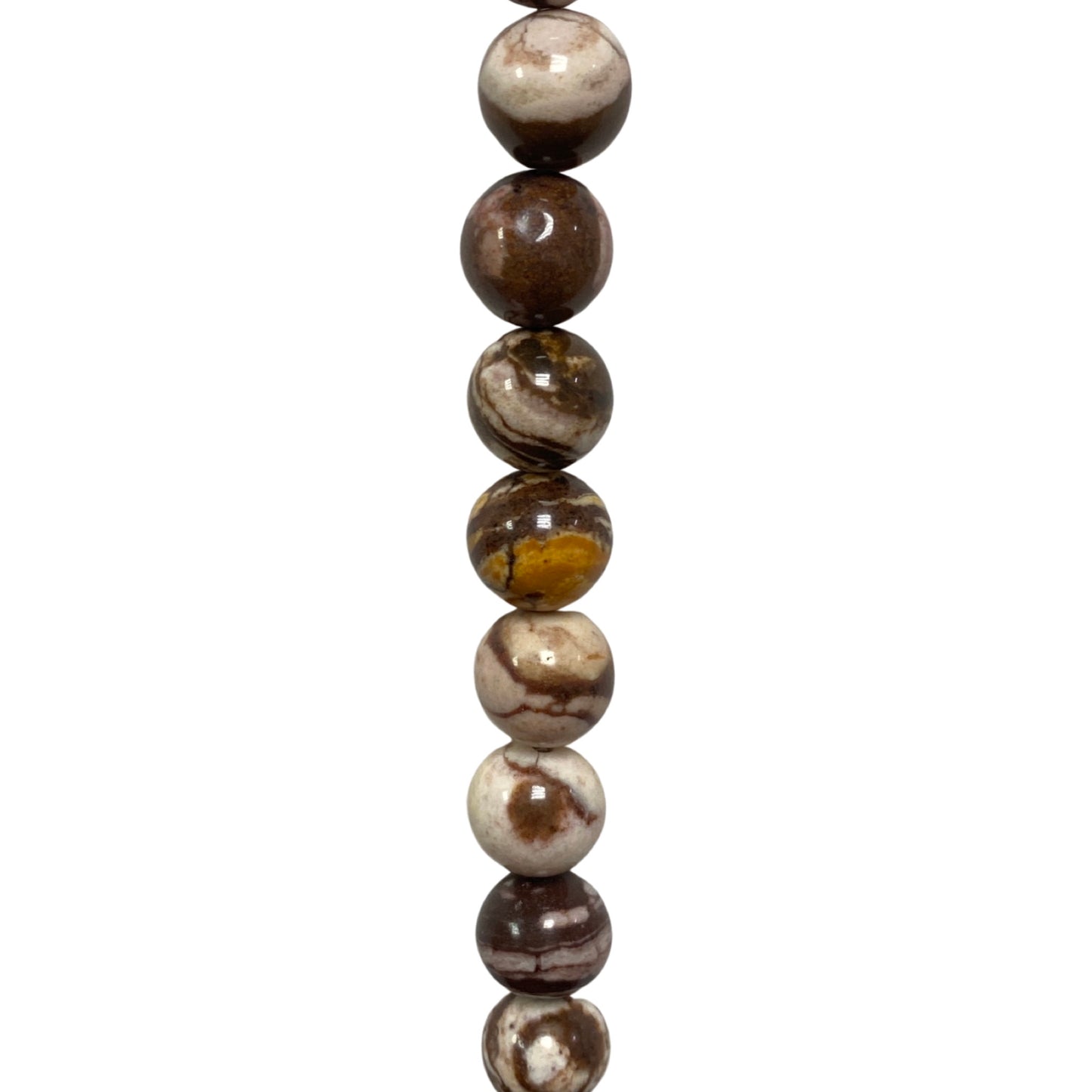Brown Zebra Jasper - (Polished) - Round/ Smooth