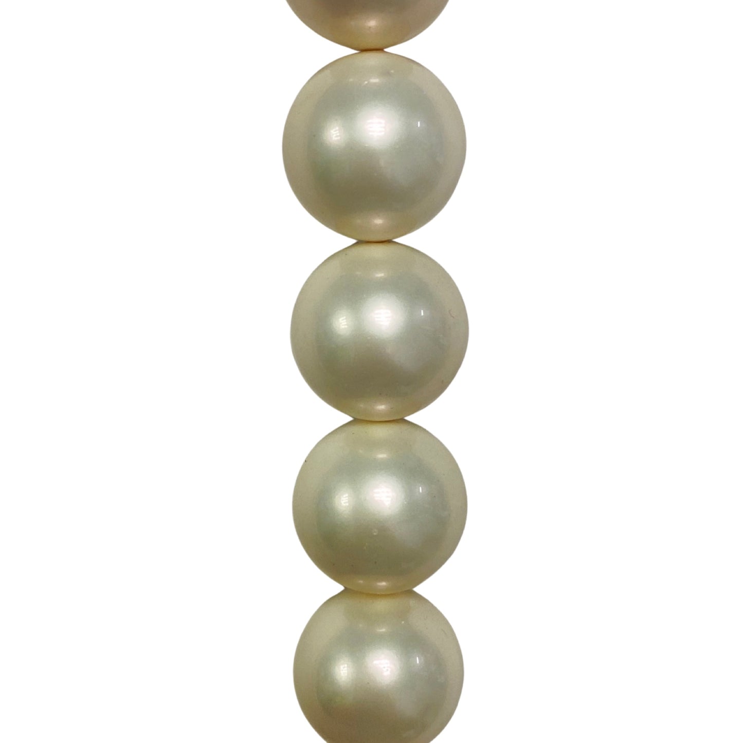 White Mother of Pearl - (Polished) - Round/ Smooth