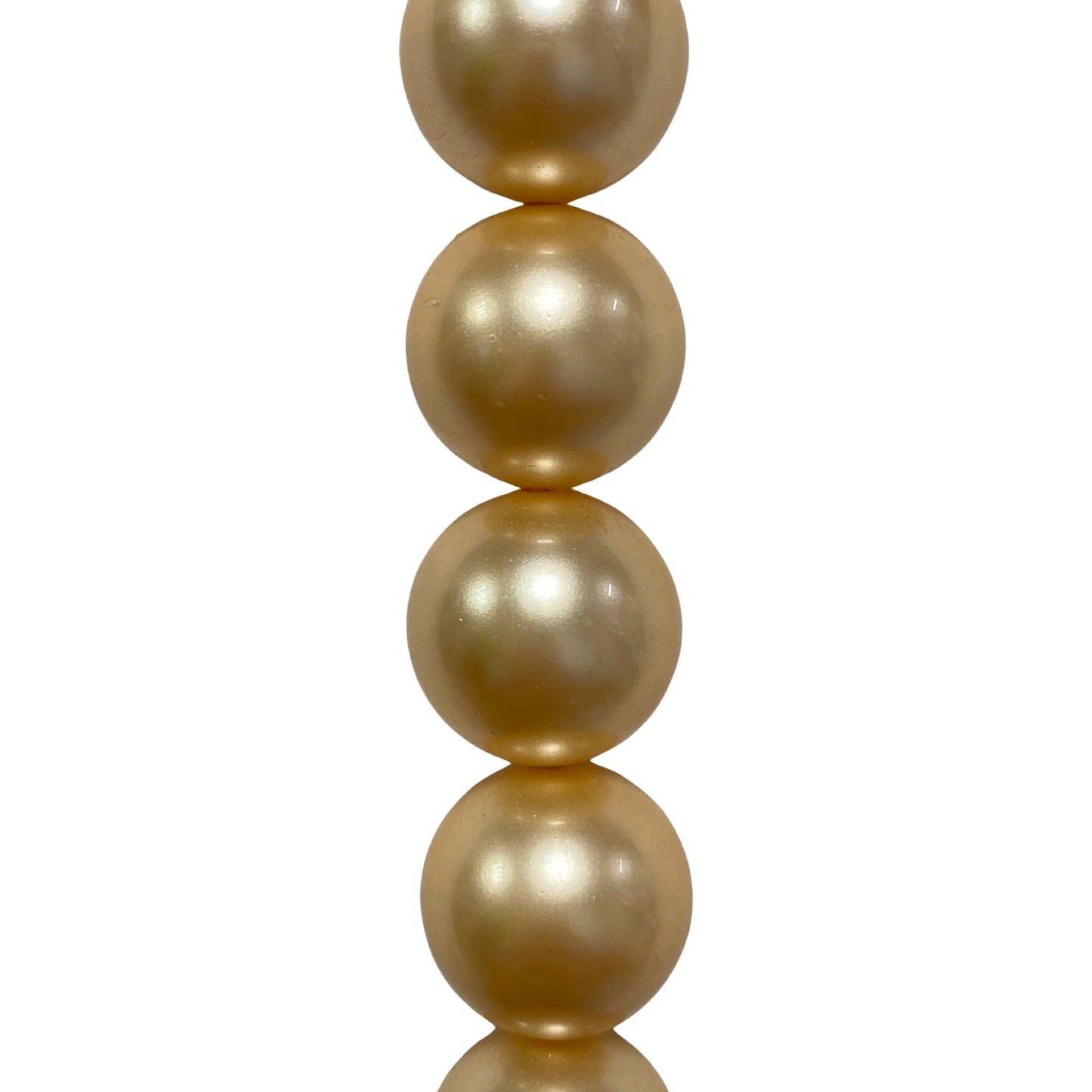 Champagne Mother of Pearl - (Polished) - Round/ Smooth