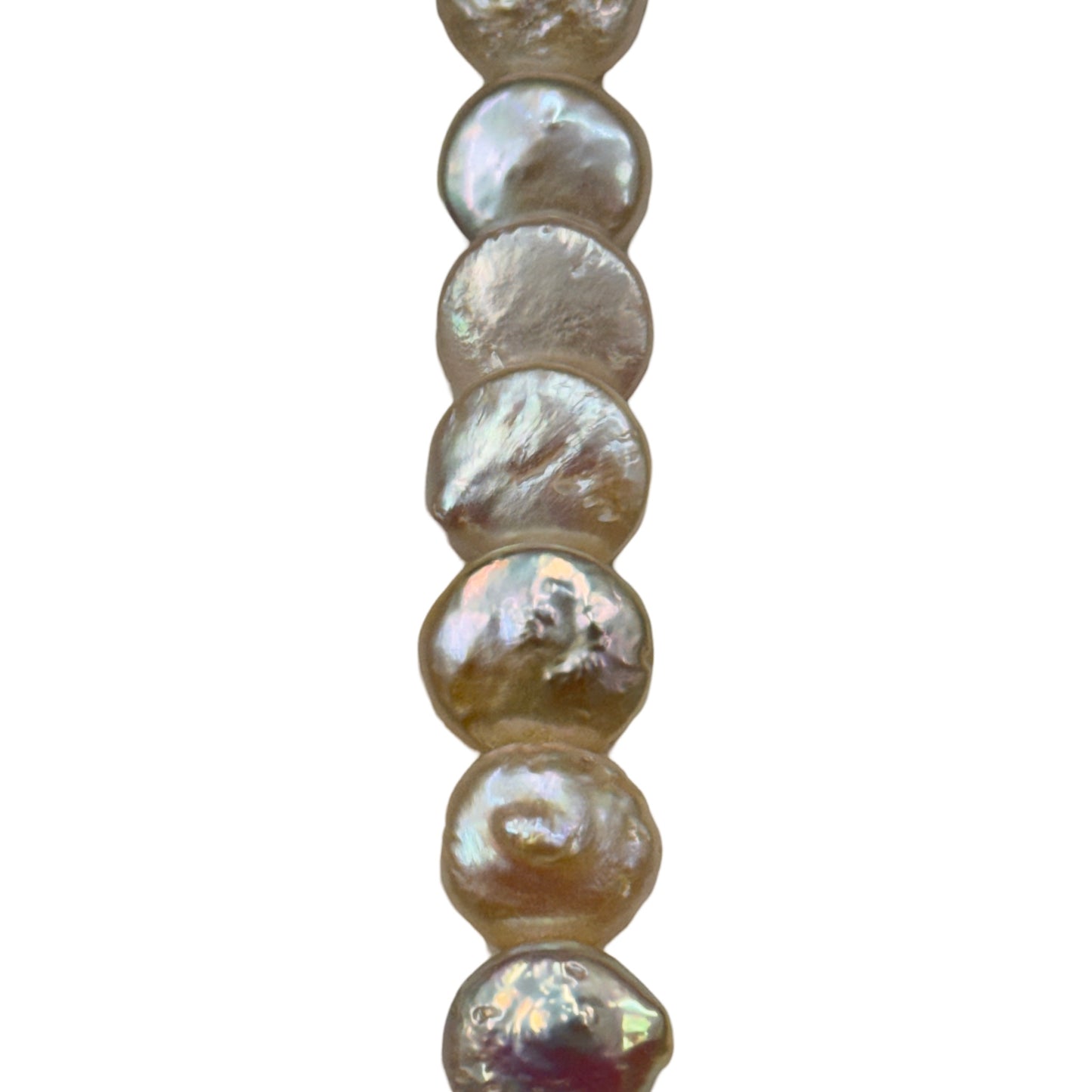 Freshwater Pearl - (Polished) -  Coin/ Smooth