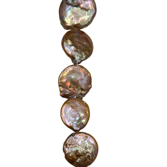 Freshwater Pearl - (Polished) -  Coin/ Smooth