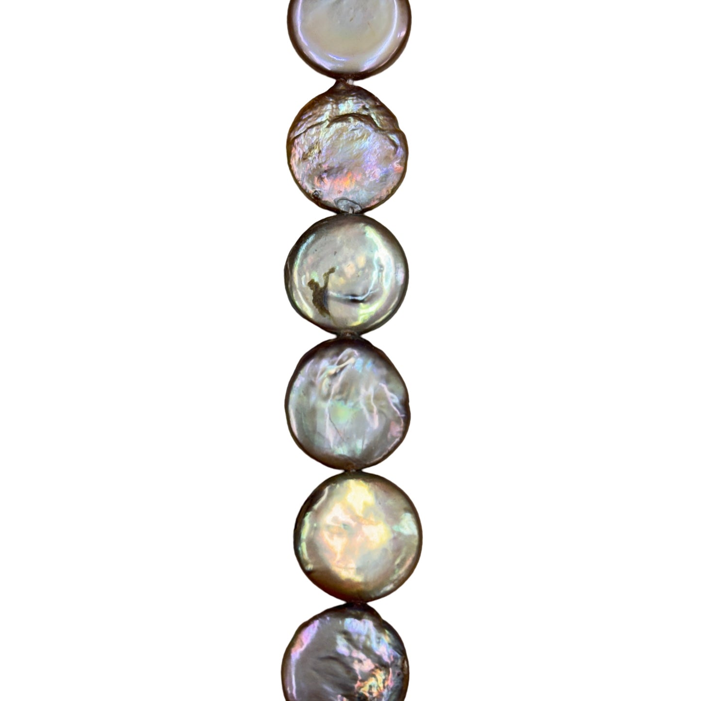 Freshwater Pearl - (Polished) -  Coin/ Smooth