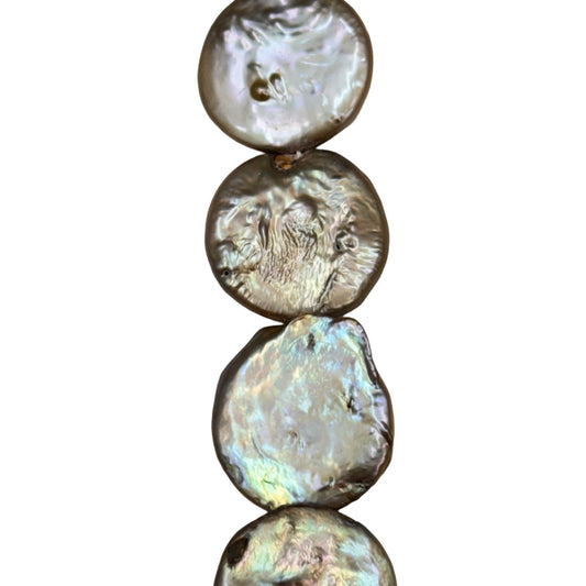 Freshwater Pearl - (Polished) -  Coin/ Smooth