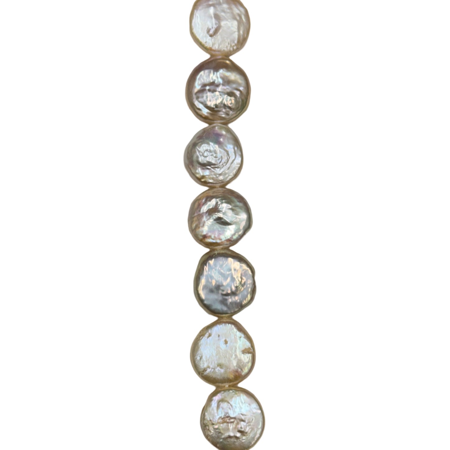 Freshwater Pearl - (Polished) -  Coin/ Smooth