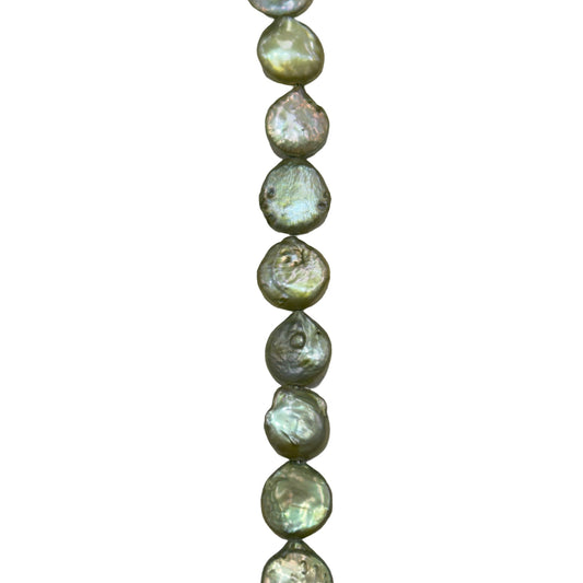 Freshwater Pearl - (Polished) -  Coin/ Smooth