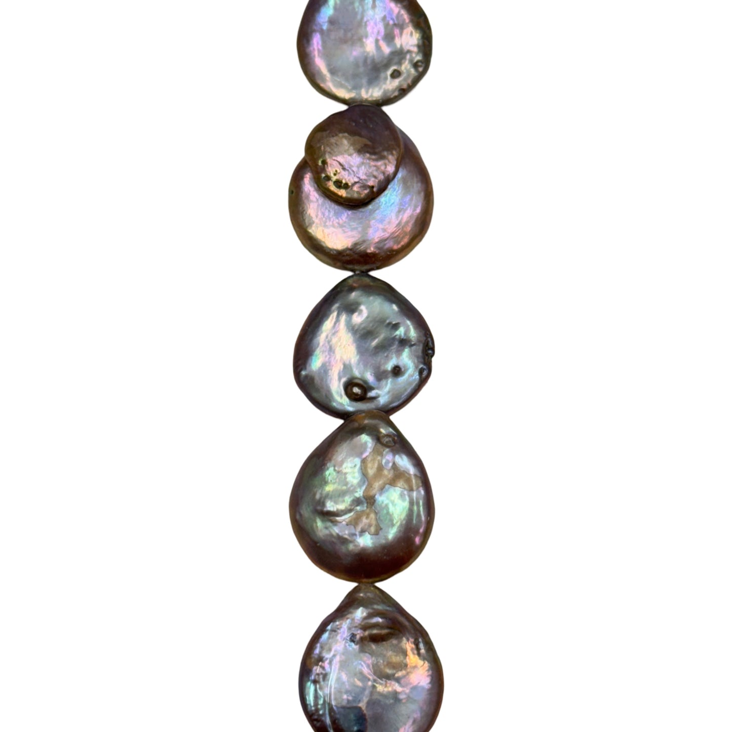 Freshwater Pearl - (Polished) -  Coin/ Smooth