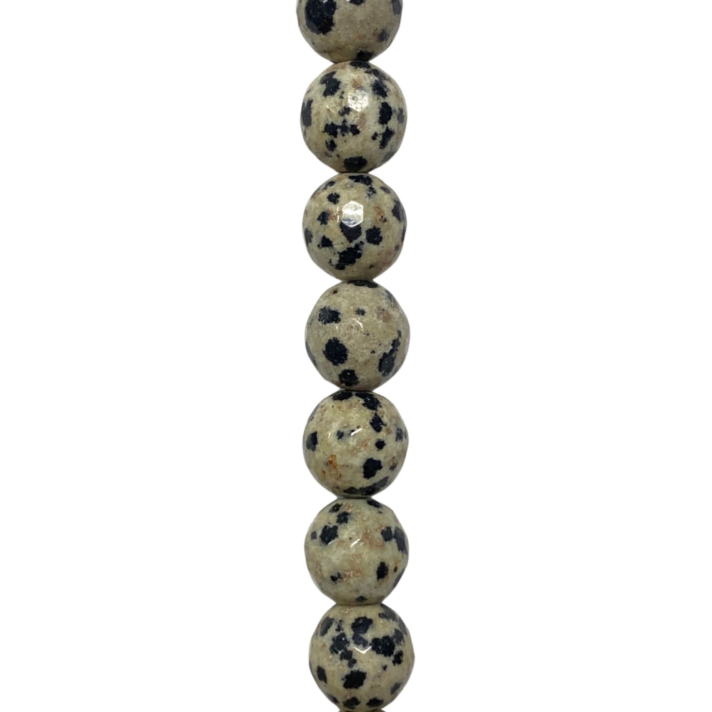 Dalmatian Jasper - (Polished) - Round/ Faceted