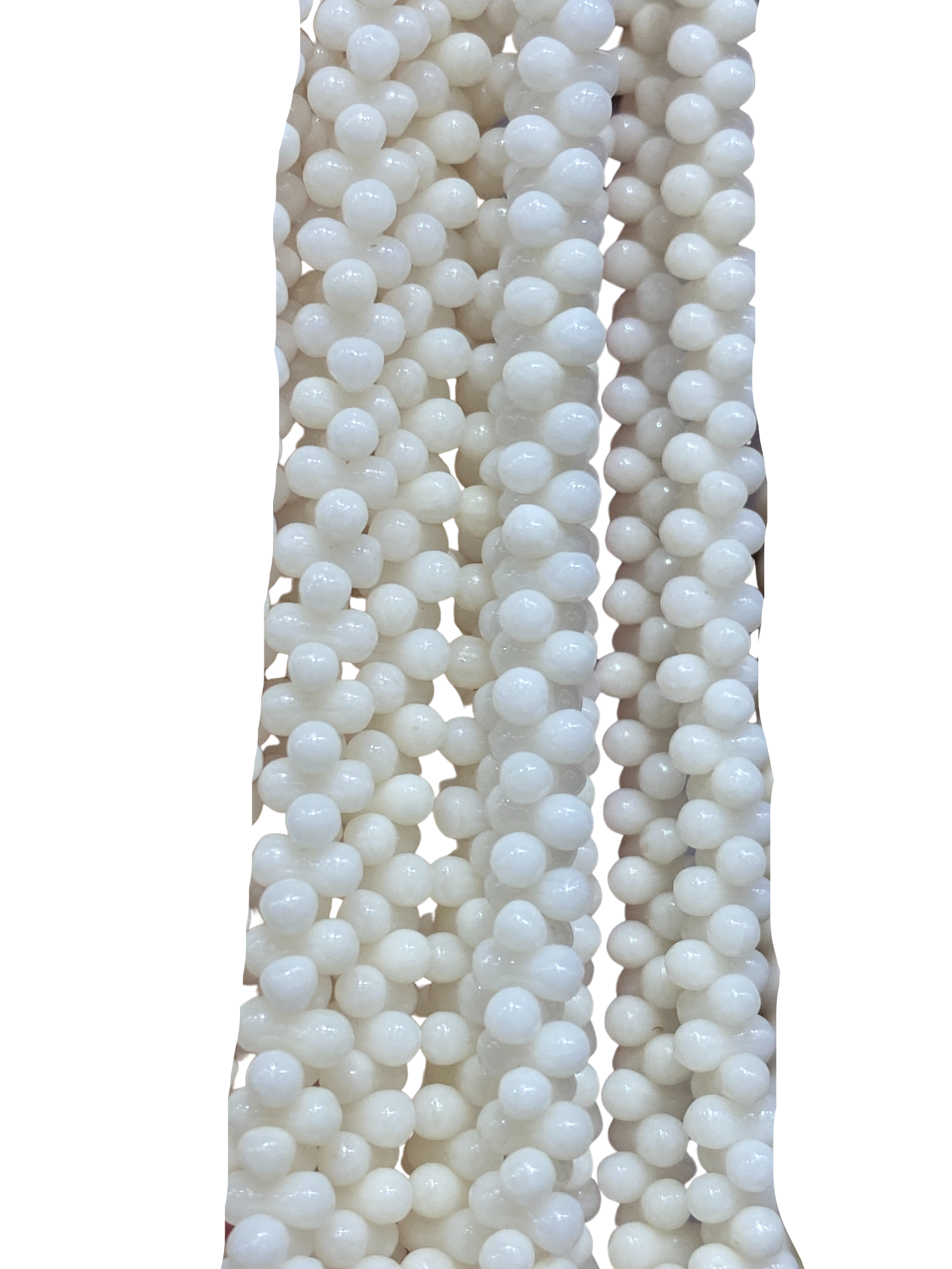 White Coral - (Polished)