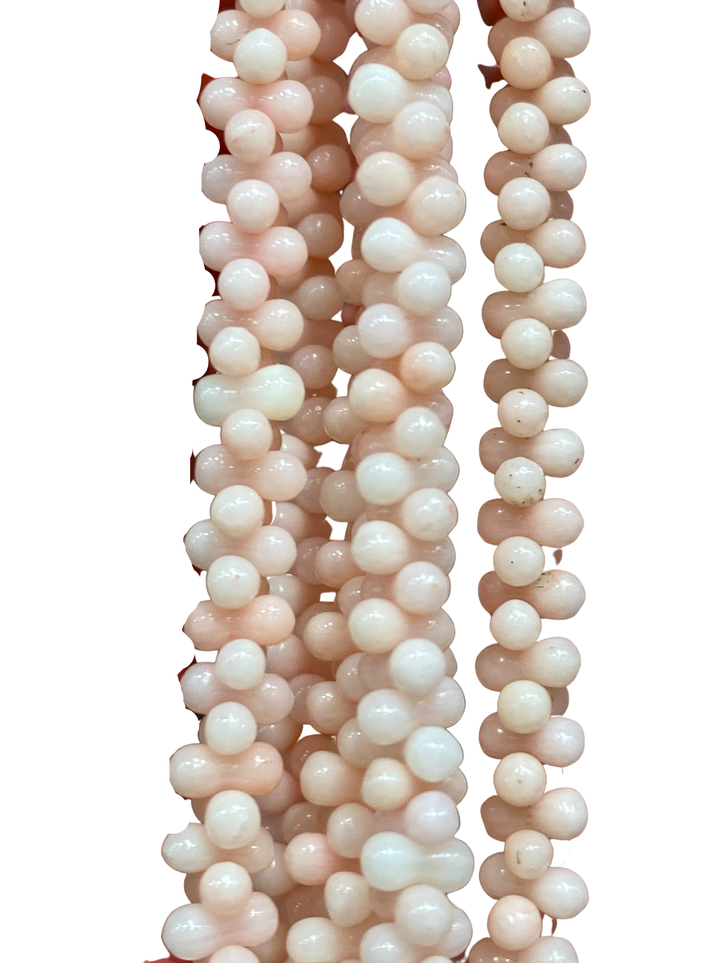 Pink Coral - (Polished) - Smooth